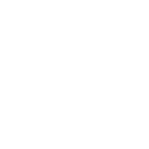 ESTUDI DE LA CARRERA